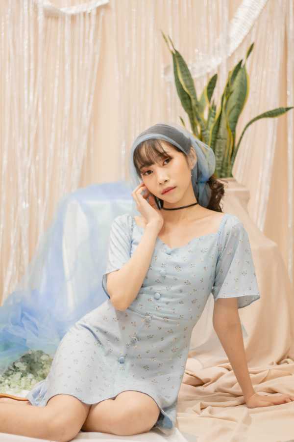 Sweetheart Dress - Blue Poppy
